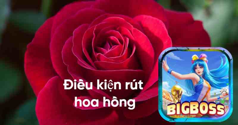 Điều kiện để có thể rút được hoa hồng từ cổng game Bigboss.jpg