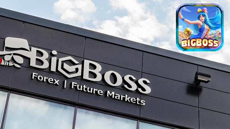 Bigboss Hướng dẫn cách nhận code khi tham gia chơi.jpg