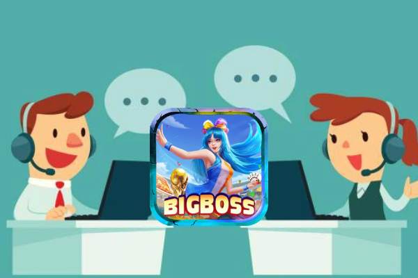 Bigboss Giới Thiệu Cách Thức Liên Hệ Chăm Sóc Khách Hàng