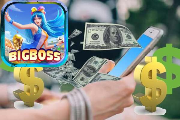 Hoa Hồng Đại Lý Bigboss Cơ Hội Làm Giàu Không Ngờ