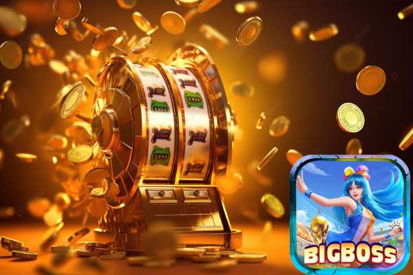Bigboss Chia Sẻ Kinh Nghiệm Làm Đại Lý Kiếm Thu Nhập Cao	